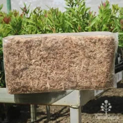Sphagnum Moss 12L 7 Sphagnum Moss 12L -Foliage Flair Shop apo sphagnum sun