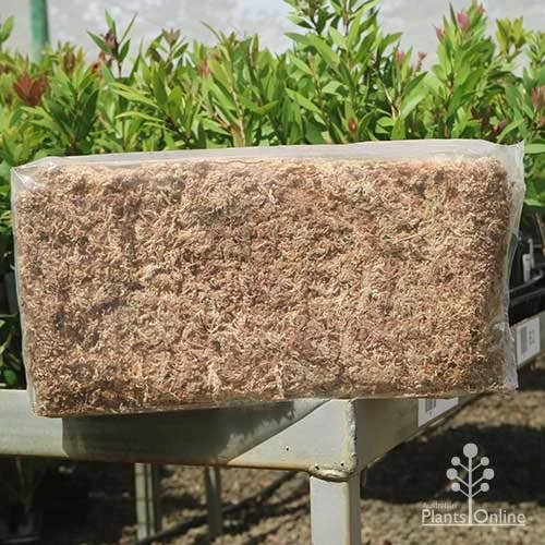Sphagnum Moss 12L 4 Sphagnum Moss 12L - Image 4