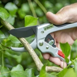 Ratchet Anvil Secateurs -Foliage Flair Shop darlac ratchet anvil pruner 1