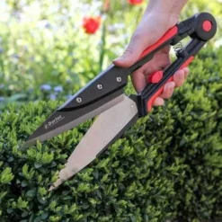 Expert Topiary Shear -Foliage Flair Shop darlac topiary