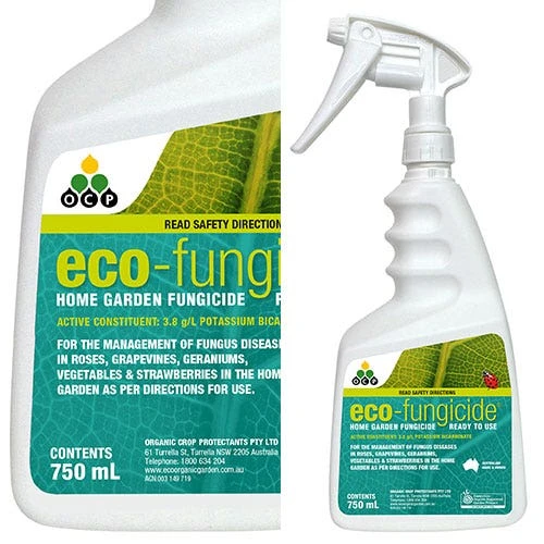 Eco-fungicide Spray 750ml 1 Eco-fungicide Spray 750ml