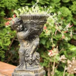 Lotus Red Flash - Parrot's Beak -Foliage Flair Shop lotus planted