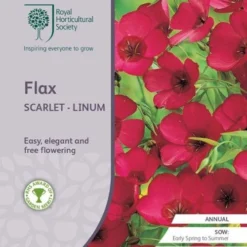 Flax Scarlet - Seed