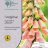 Foxglove Sutton's Apricot - Seed