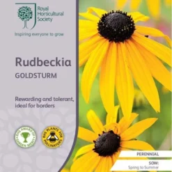 Rudbeckia - Seed -Foliage Flair Shop rhs rudbeckia